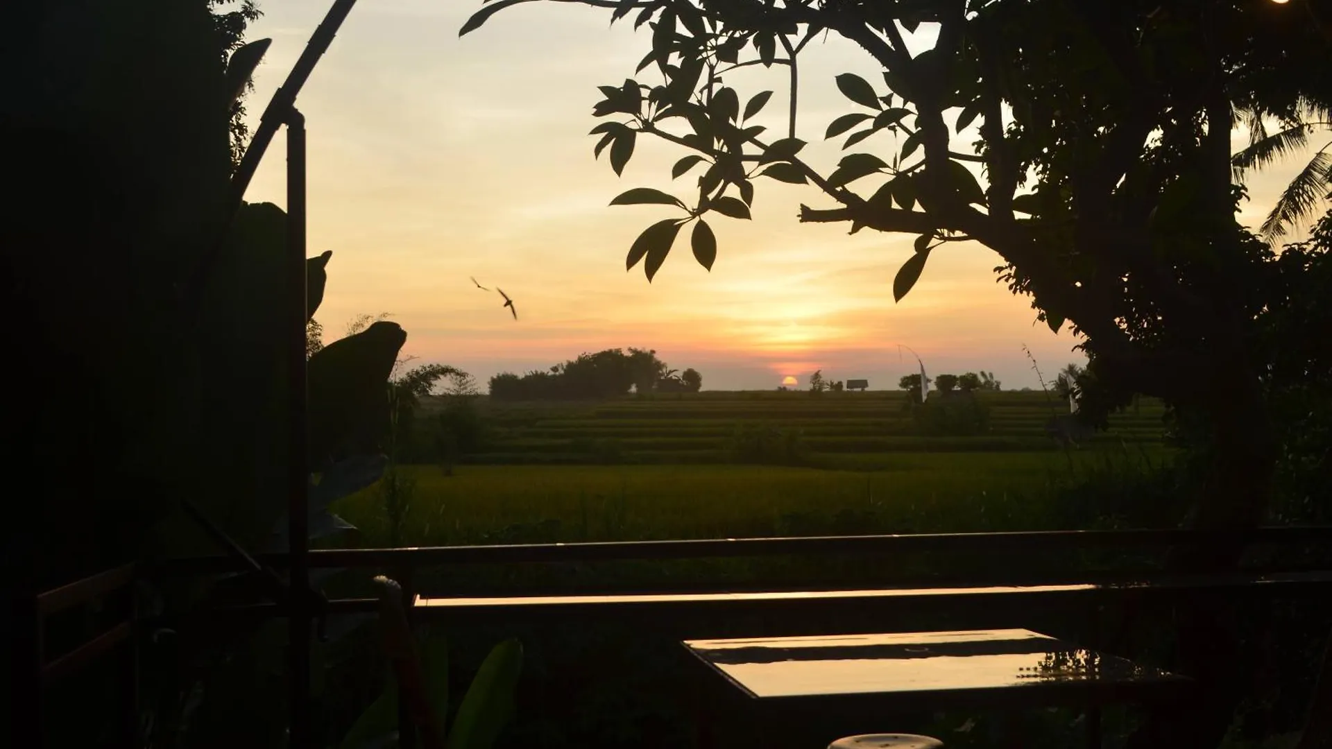 Lodge Sunset Shade Villa Ubud  Indonesia